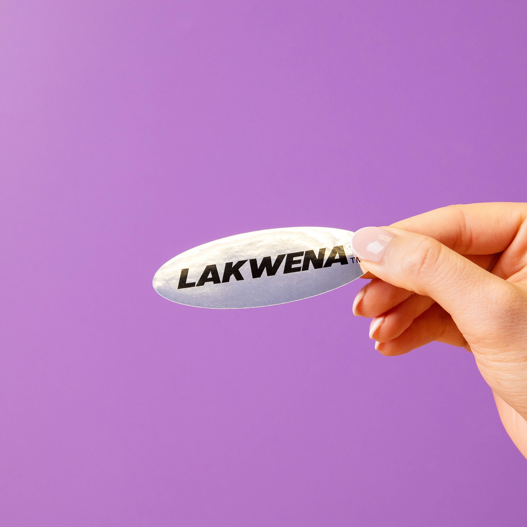 Silver Chrome Stickers