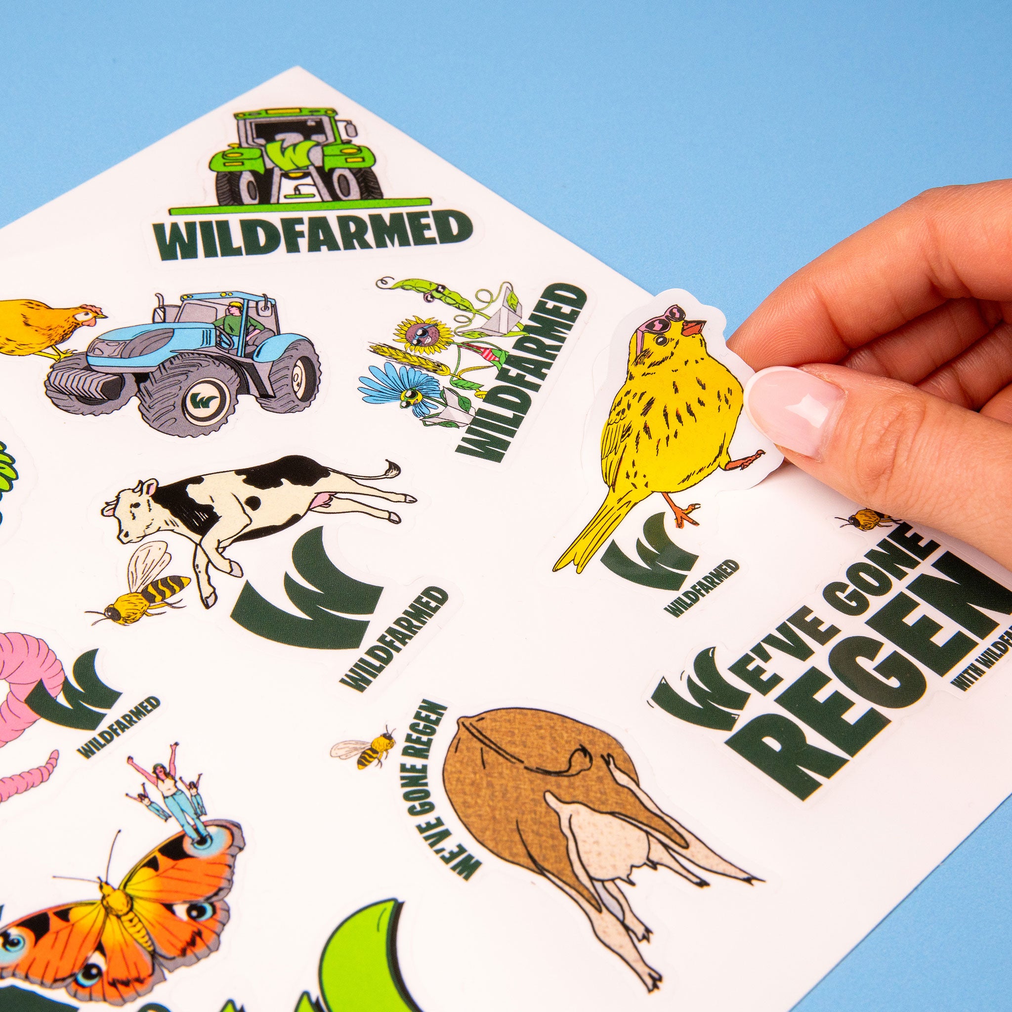 Matte Sticker Sheets